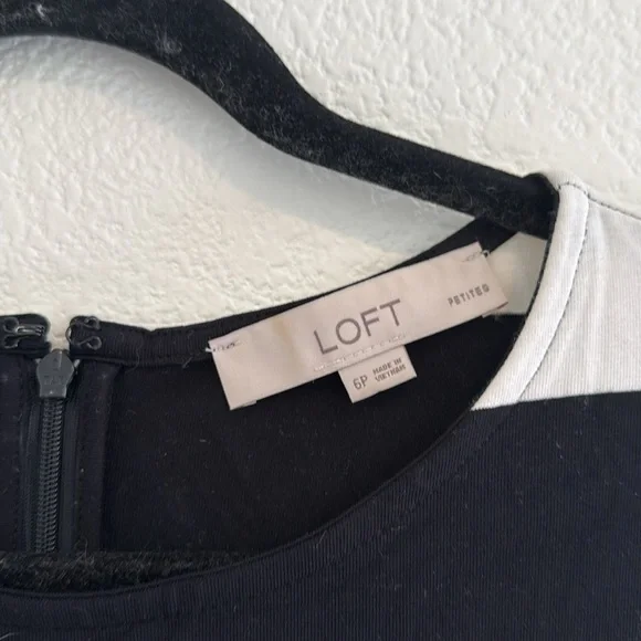 Loft - Tee Shirt Fit and Flare Dress - Black and White - 6P - Picture 4 of 6